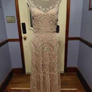Embroidered Mesh Maxi Dress in Blush